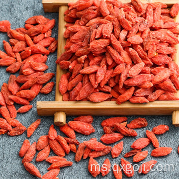 Ningxia Organic Dry Goji Berry dengan Harga Rendah